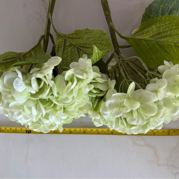 Hydrangeas - Picture 3 of 4